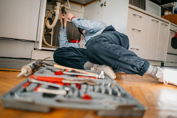 Best Emergency Plumber  in Lenox, IA